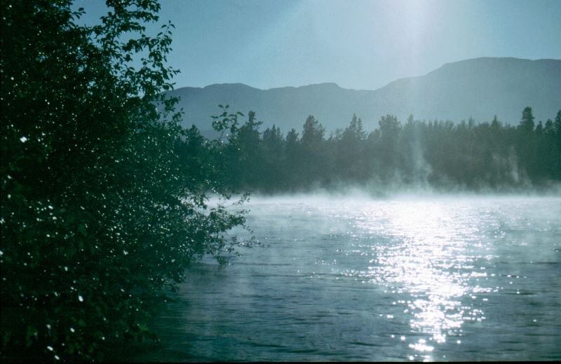 ../Images/011Yukon bei Whitehorse.jpg
